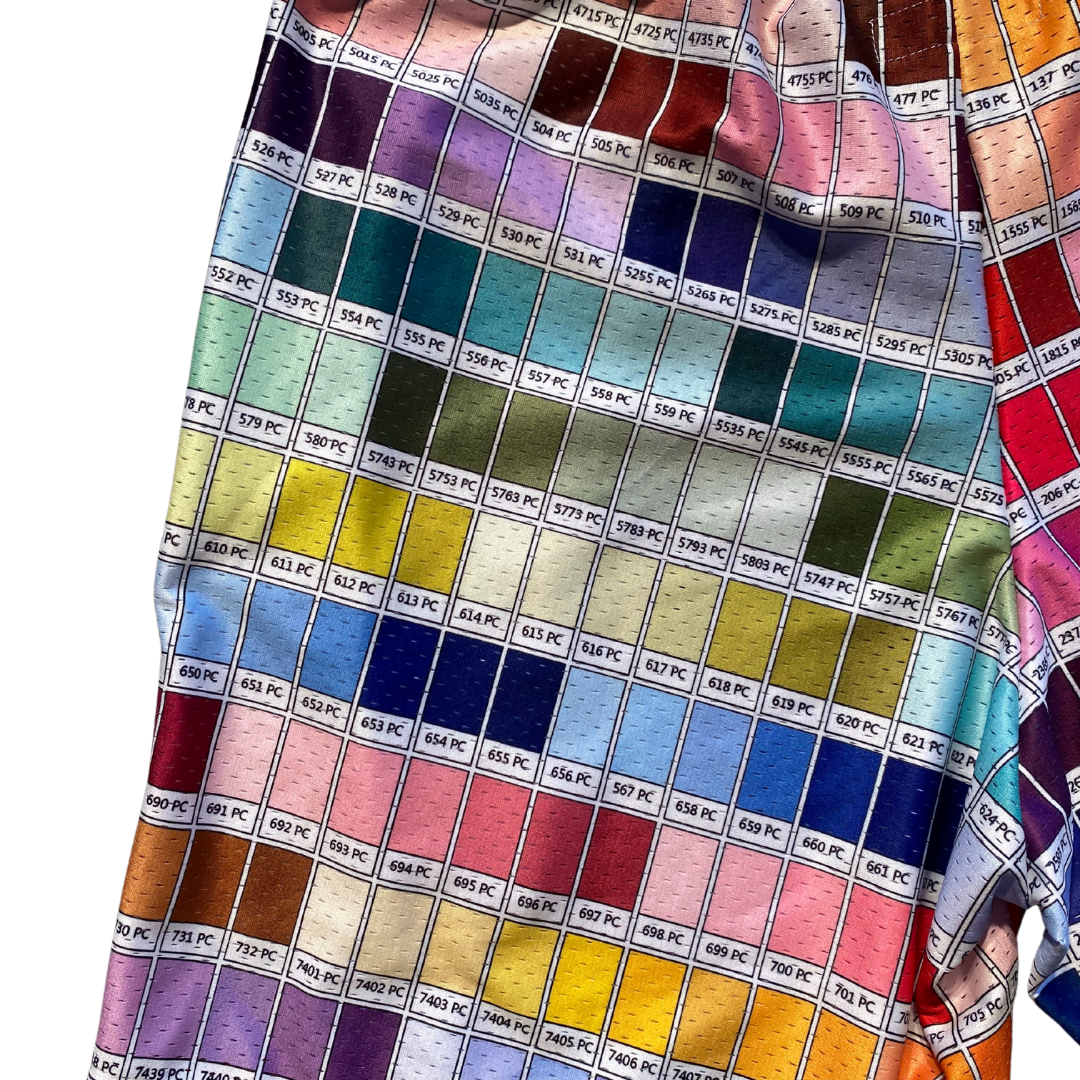 Unapologetic Youth color wheel shorts featuring vibrant, multicolored fabric with a casual fit and elastic waistband.