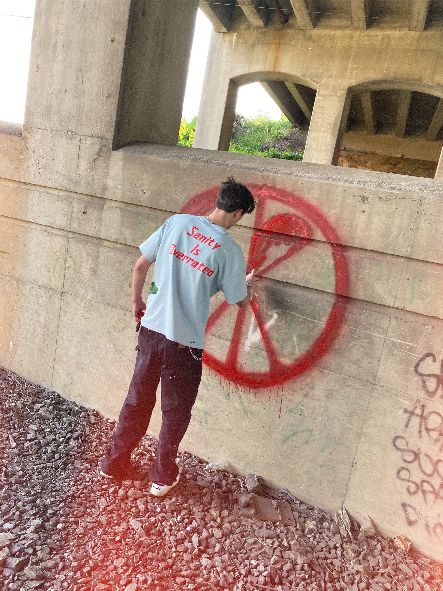 Unapologetic Youth Sanity T-Shirt with bold graphic design, soft cotton fabric, and comfortable fit, shown on a mannequin.