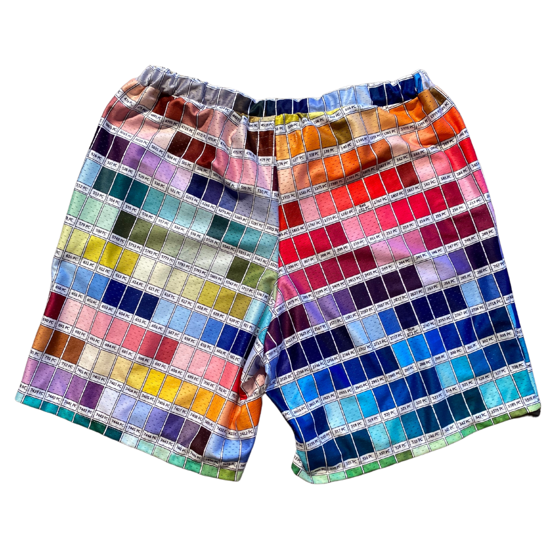 Unapologetic Youth color wheel shorts featuring vibrant multicolor fabric with a relaxed fit and casual style.