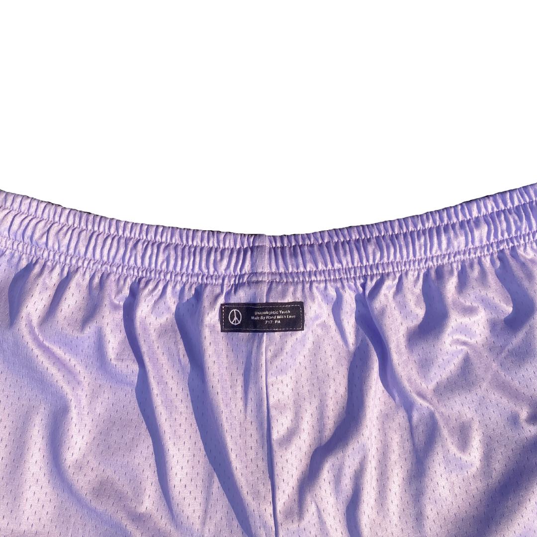 Unapologetic Youth Rose City shorts in denim with distressed details and a relaxed fit, displayed on a neutral background.