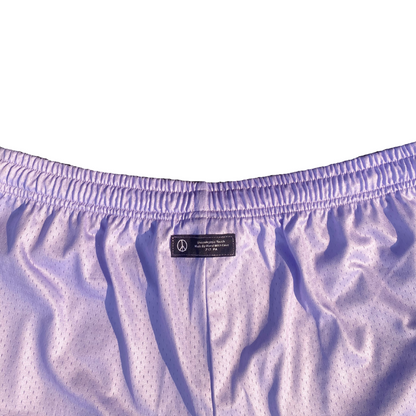 Unapologetic Youth Rose City shorts in denim with distressed details and a relaxed fit, displayed on a neutral background.