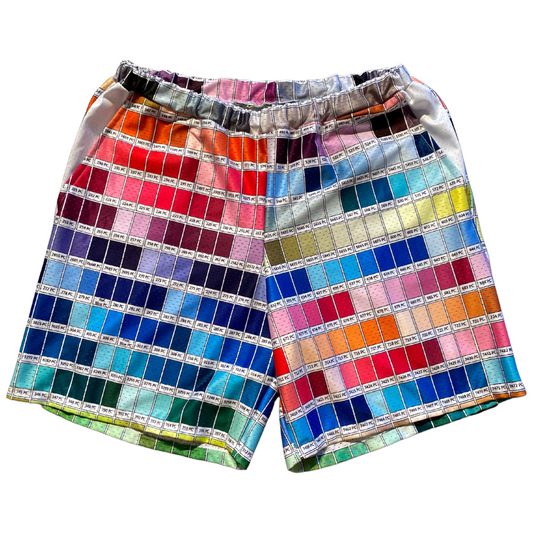 Unapologetic Youth colorful shorts featuring a vibrant color wheel pattern, casual fit, and comfortable fabric.