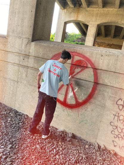 Unapologetic Youth Sanity T-Shirt with bold graphic design, soft cotton fabric, and comfortable fit, shown on a mannequin.