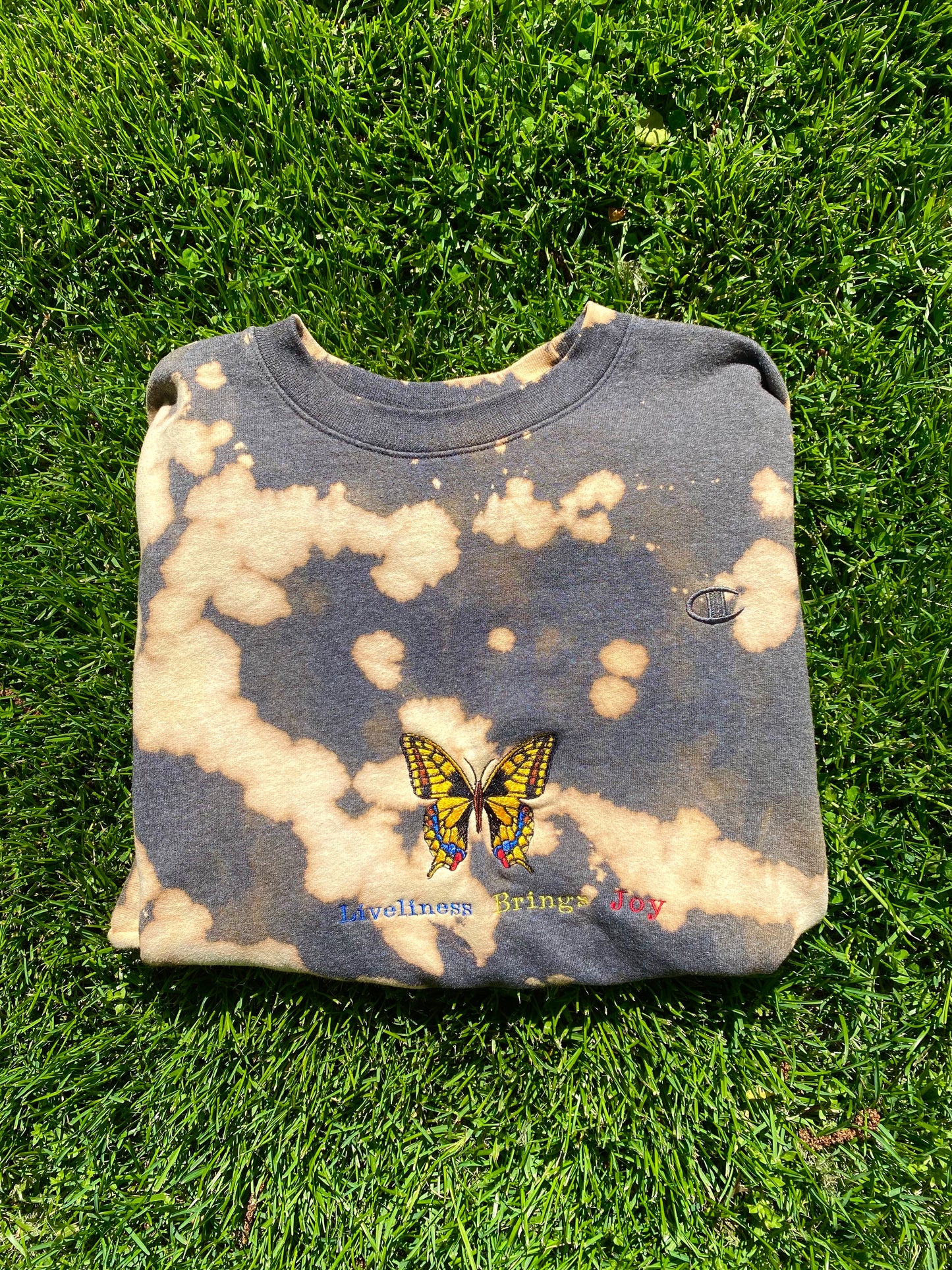 Unapologetic Youth x Champion Bring More Joy crewneck sweatshirt in soft fabric, shown in a relaxed fit with colorful design.